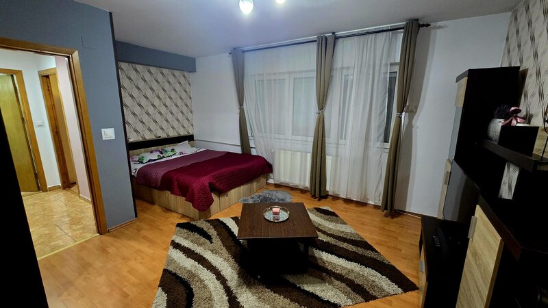 Drumul Taberei, ANL Brancusi,